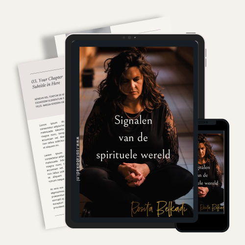 Signalen-van-de-spirituele-wereld-e-book